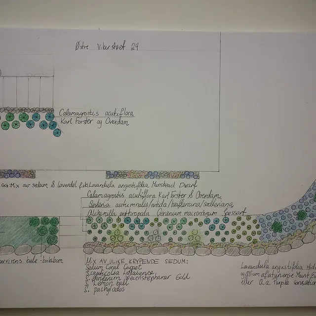 Tegning som viser hageplanlegging