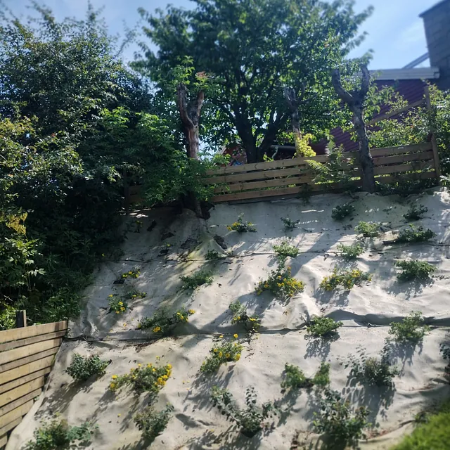 Anleggsarbeid i hage