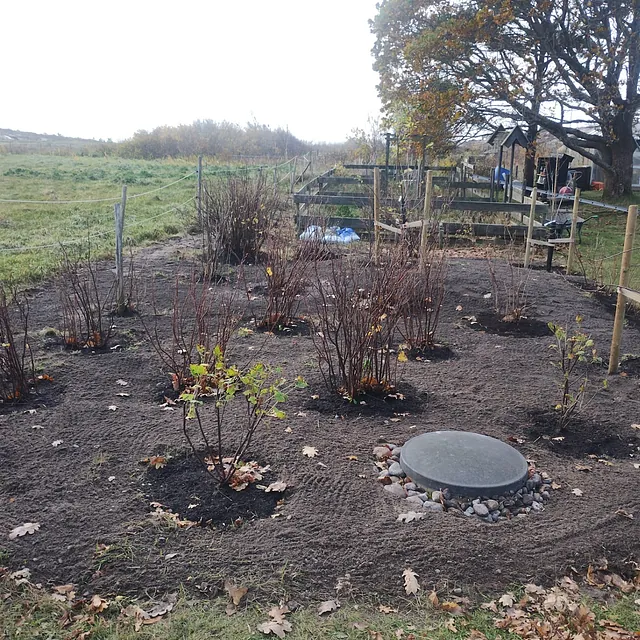 Anleggsarbeid i hage